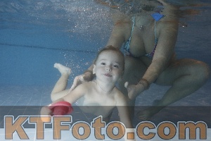 Photo 4206543