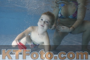 Photo 4206544