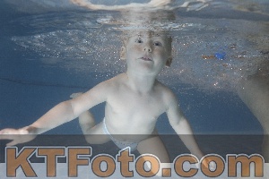 Photo 4206545