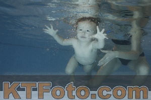 Photo 4206547