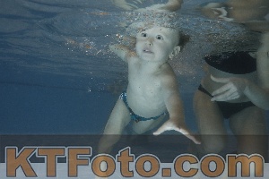 Photo 4206548