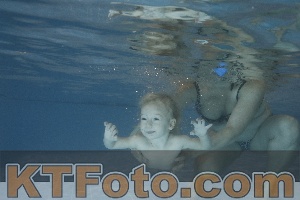 Photo 4206550
