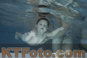 Photo 4206554