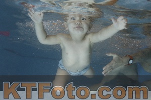 Photo 4206556