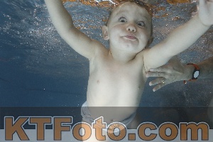 Photo 4206557
