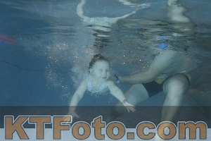 Photo 4206558