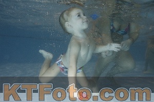 Photo 4206564
