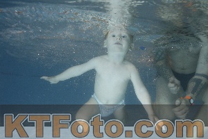 Photo 4206567