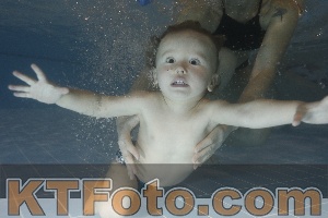 Photo 4206569