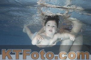Photo 4206571
