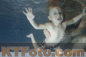 Photo 4206575