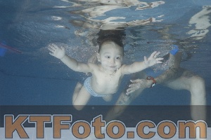 Photo 4206576