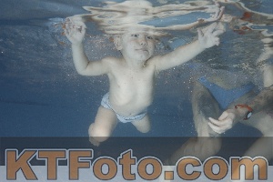 Photo 4206577