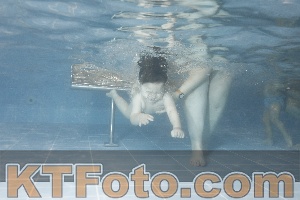 Photo 4206590