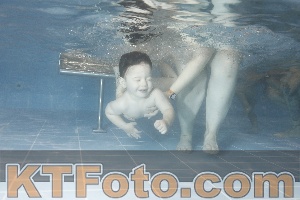Photo 4206591