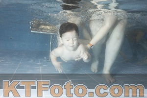 Photo 4206592