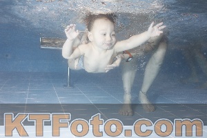 Photo 4206593