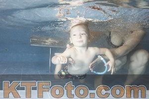 Photo 4206602