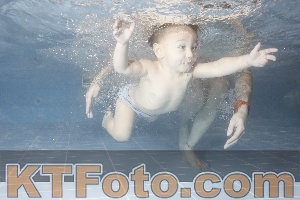 Photo 4206606