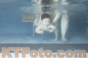 Photo 4206608