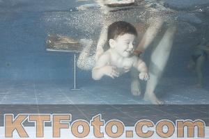 Photo 4206609