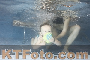 Photo 4206611