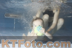 Photo 4206612