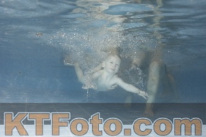 Photo 4206613