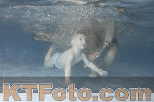 Photo 4206615