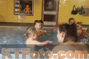 Photo 4206619