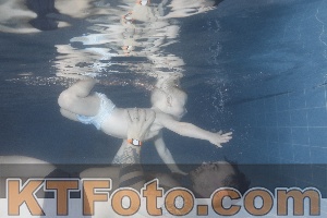 Photo 4206636