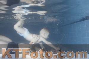 Photo 4206637