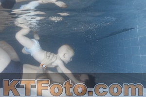 Photo 4206638