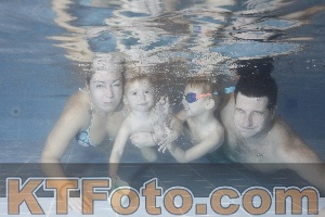 Photo 4206646