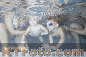 Photo 4206649