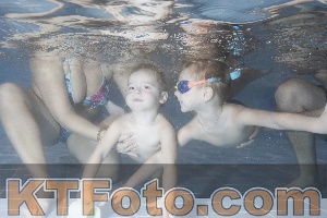 Photo 4206650