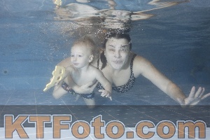 Photo 4206654