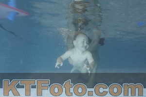 Photo 4206738