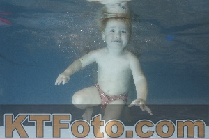 Photo 4206740