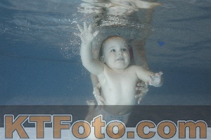 Photo 4206742
