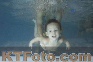 Photo 4206745