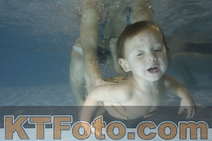 Photo 4206746