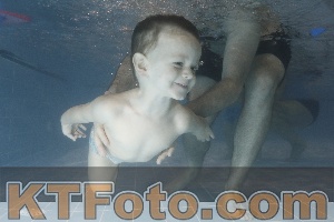 Photo 4206749