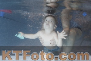 Photo 4206750