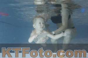 Photo 4206752