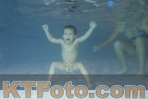 Photo 4206754
