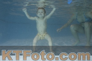 Photo 4206755