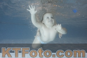 Photo 4206760