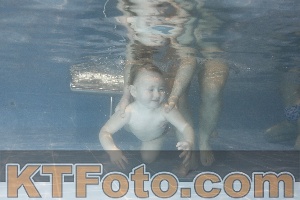 Photo 4206761