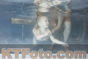 Photo 4206764